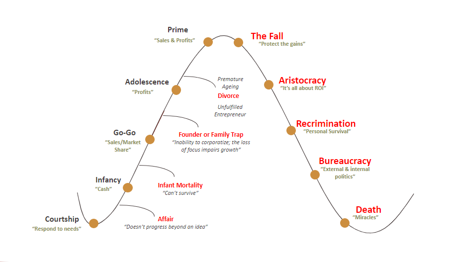 stages-corporate-life-cycle